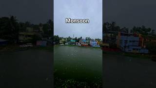 Monsoon vs Summer #monsoon #summer #WeatherDifferences #Seasons #nature #youtubeshorts #shorts