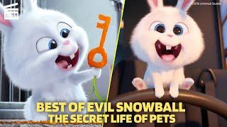 Best of Evil Snowball | The Secret Life of Pets (2016)