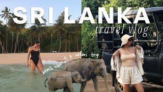 SRI LANKA TRAVEL VLOG 2024 | safari, beaches & forts 🫶