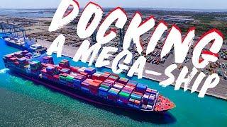 Docking a Mega-Ship | Mooring and Berthing Explained! | Life at Sea