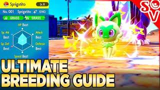 ULTIMATE Breeding Guide for Shiny Pokemon, IVs, & More - Pokemon Scarlet and Violet