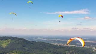 Nominiert für die Wahl "Deutschlands Schönster Wanderweg 2020": Panoramaweg Baden-Baden