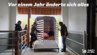 Gerettet aus einem Schweinezuchtbetrieb: Ein Jahr Hanna & Kids im Land der Tiere 