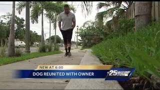 Dog stolen a year ago reunited with owner days before euthanization