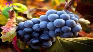 Beneficios de las Uvas Moradas o Tintas