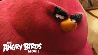 The Angry Birds Movie - Clip: Meet Terence