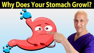 Why Does Your Stomach Growl?  The Science of Hunger Explained!  Dr. Mandell