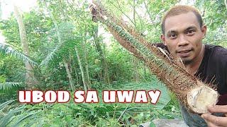 #Ubod sa Uway#bisaya vlogger