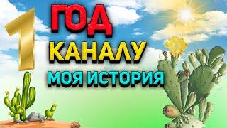 Коллекция кактусов. День рождения канала. Моя история. Уход за кактусами.