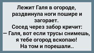 Сосед Попросил Галю Снять Трусы и Вскопал Ей Огород! Сборник Свежих Анекдотов! Юмор!