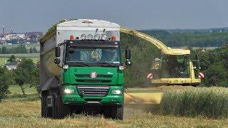 KRONE BIG X 1100 | 4x TATRA Phoenix AgroTruck | Spinar24HD