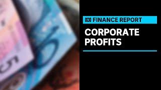 Economist finds inflation being driven by corporate profits | Finance Report | ABC News