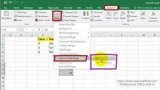 How To Paste Values To Visible/Filtered Cells Only In Excel?