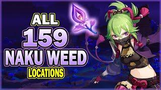 All 159 Naku Weed Locations - Efficient Farming Route - Kuki Shinobu Ascension Material | Genshin