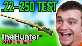 I Tested the 22-250 in Hunter Call of the Wild!