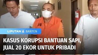 Pelaku Korupsi Bantuan 20 Ekor Sapi Ditangkap Polisi | Liputan 6 Banten