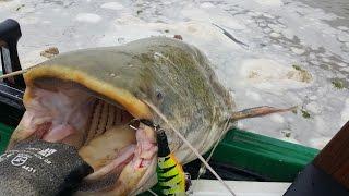 BIG CATFISH on SPINNING IN FLOODED RIVER by CATFISH WORLD