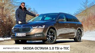 Skoda Octavia 1.0 TSI e-Tec: Reicht der Dreizylinder mit 110 PS? Review, Test, Fahrbericht