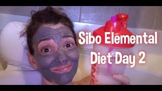 Elemental Diet SIBO Diary Day 2 | Lisa Monoson