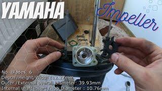 Yamaha F6 F6CMH outboard engine 4hp 5hp 6hp impeller water pump change , Wasserpumpe , vannpumpe ,4K