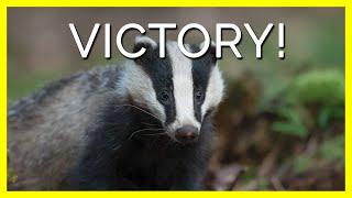 Victory! Morphe Bans Badger Hair