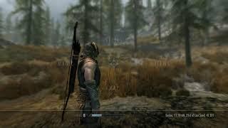 MSTF playing skyrim