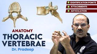 Thoracic Vertebrae | Anatomy | Hard Parts Made Easy with Dr. Pradeep Pawar | PW MedEd