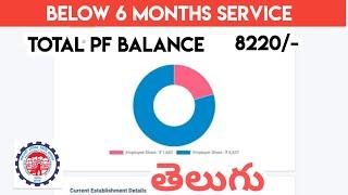 PF 6 months Below service Withdrawal | EPF Below 6 months service