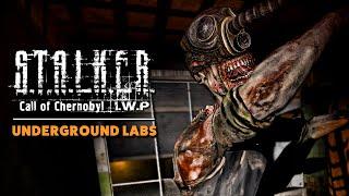 Exploring Underground Labs - STALKER Call Of Chernobyl IWP