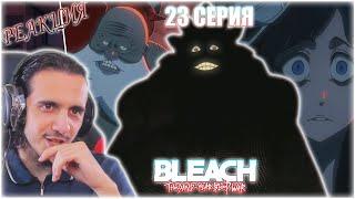 Reaction 23 Episode "Bleach: Sennen Kessen-hen"/Реакция на "Блич:Тысячелетняя кровавая война"