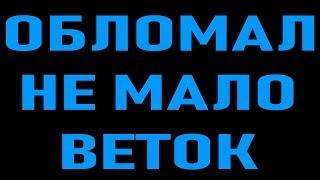 Обломал не мало веток. Караоке