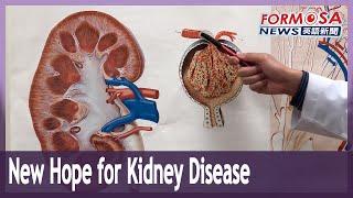 New drug offers fresh hope for treating kidney disease without dialysis