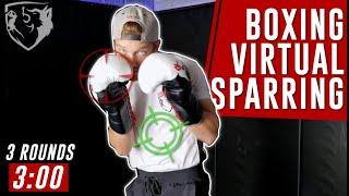 Wanna Spar Me? Virtual Sparring Boxing w/ Shane Fazen