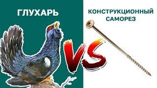 Конструкционный саморез или "глухарь"? | ЦКИ