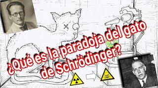 ¿Realmente que intentaba decir Schrödinger con la paradoja del gato? | Interpretación de Copenhague