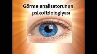 Görmə analizatorunun psixofiziologiyası