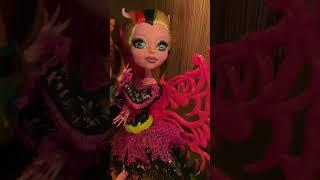 Tg: o_daemon #collection #dolls #monsterhigh #dollscollection #dollscollector #rainbowhigh