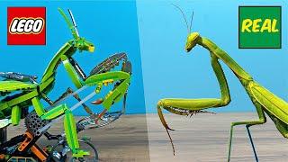 LEGO Praying Mantis vs. Real Praying Mantis!