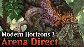 Fighting for a Booster Box | Arena Direct | Modern Horizons 3 Sealed