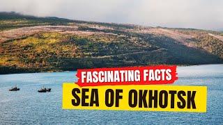 Sea Of Okhotsk Facts!