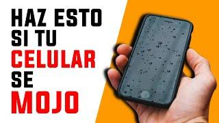  Que Hacer SI TU CELULAR se CAE AL AGUA - Como Secar un Celular Mojado en 4 Pasos