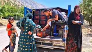 Trying to provide alimony" Qasim's fruit shop with a mobile van