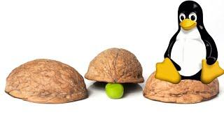 Shell Tricks to Save Time in Linux