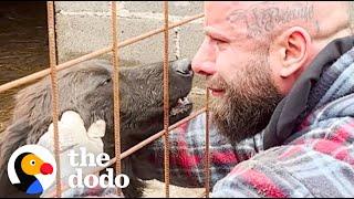 Guy Rescues Hundreds Of Dogs From City Shelters | The Dodo