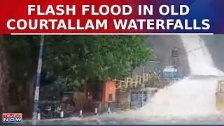 WATCH: Sudden Flash Flood In Old Courtallam Waterfalls In Tamil Nadu's Tenkasi | Tamil Nadu News