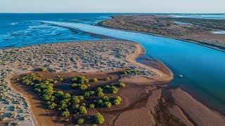 RARE Saw Fish found at Urala Creek, Exmouth Gulf.