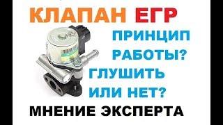 Клапан ЕГР! Принцип работы. Глушить или нет?!