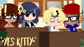 °•Yes kitty•° {meme} {adrinette/marichat} {MLB}