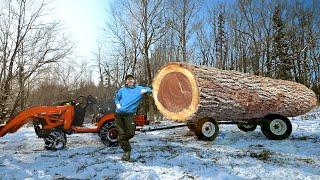 Ep.17 Skidding the BIGGEST LOG OF MY LIFE! - Just Another Day at the Off Grid Cabin in the Woods