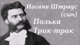 Иоганн Штраус (сын). Полька трик-трак. Классическая музыка. Johann Strauss II Tritsch Tratsch polka.